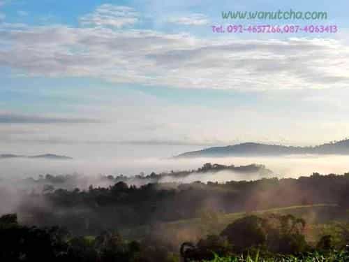 บ้านวนัชชา รีสอร์ท บ้านวนัชชา รีสอร์ท