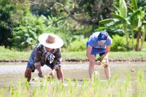 Baan Dindandawn Onsen Homestay Baan Dindandawn Onsen Homestay