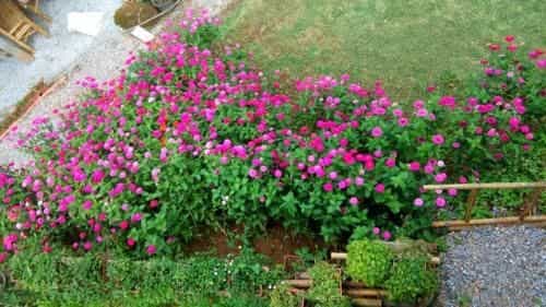 Father’s Garden Inthanon Father’s Garden Inthanon