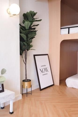 Family Junior Suite