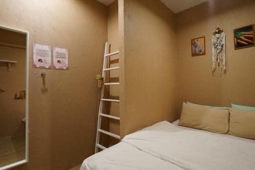 Budget Double Room (No Window) - Female Only