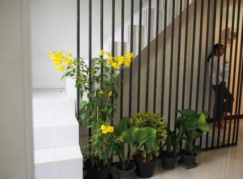 Apartment - Split Level