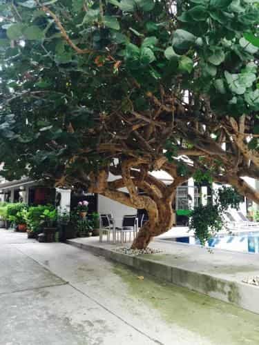 Nayo royals guest house Nayo royals guest house