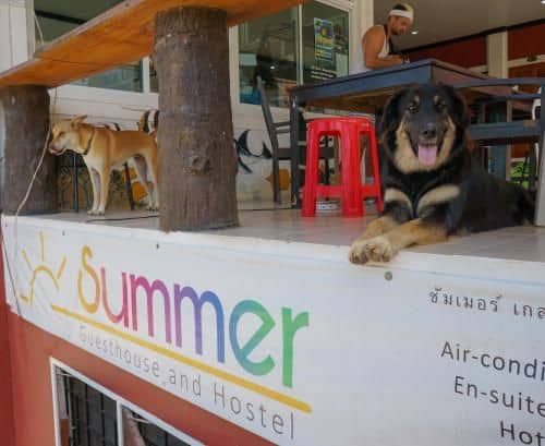 Summer Guesthouse & Hostel Summer Guesthouse & Hostel