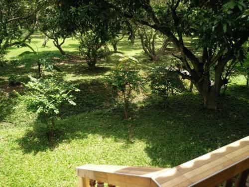 Luisuan Homestay Luisuan Homestay