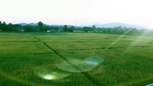 บ้านสวนแก้วเฮือนคำ (Baan Suan Keaw Huen Kham)3