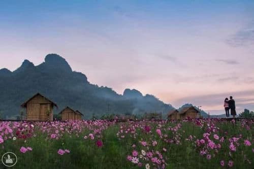 Rai Phu Phalom Rai Phu Phalom