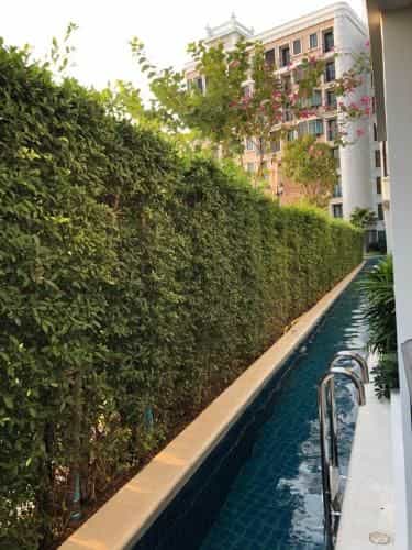 Espana Condo Espana Condo
