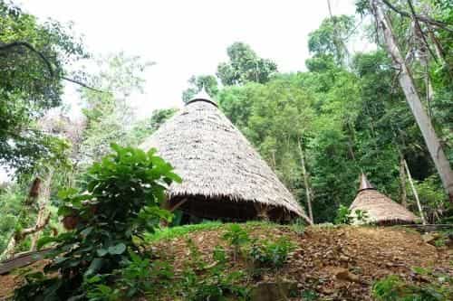 Koom Nangphaya Resort Koom Nangphaya Resort