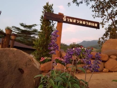 Double Room with Mountain View