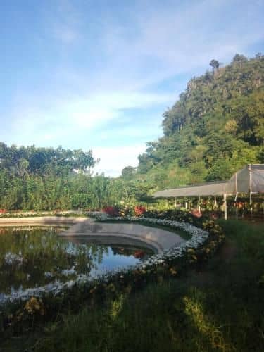 Muengnas Love Garden Muengnas Love Garden