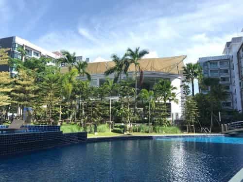 Dusit Grand Park Pool View Room Dusit Grand Park Pool View Room