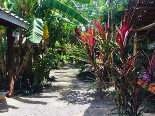 Friend house bungalow3