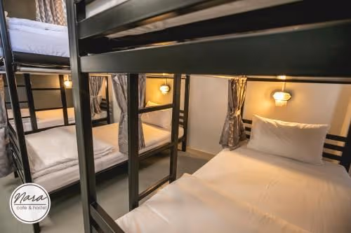 Bunk Bed in Mixed Dormitory Room