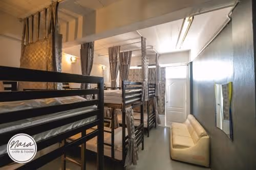 Bunk Bed in Mixed Dormitory Room