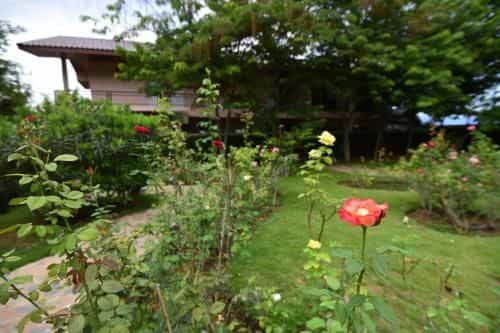 Rose Villa Hotel Rose Villa Hotel