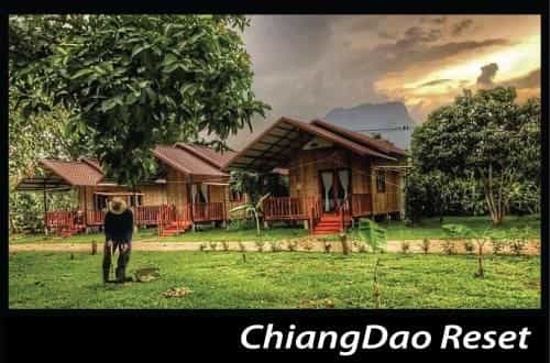 Chiang Dao Reset Chiang Dao Reset