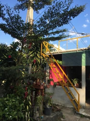 Tong Family Homestay chiengdao Tong Family Homestay chiengdao