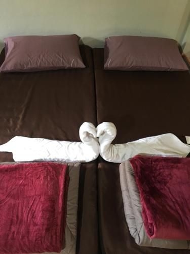 Thong Family Homestay Chiengdao (Tong Family Homestay chiengdao)1