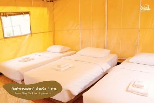 Tent (3 Adults) with Shared Bathroom