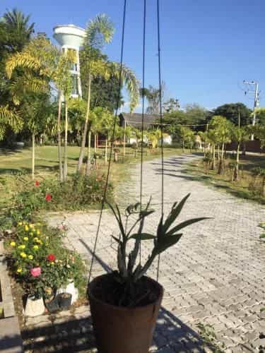 khum Nang Praya khum Nang Praya