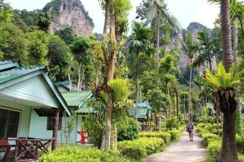 Chill Out Bar and Jungle Bungalows Chill Out Bar and Jungle Bungalows