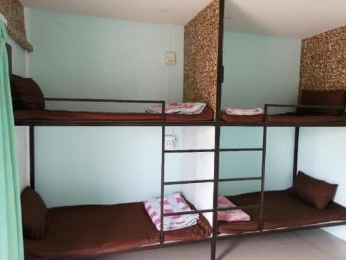 Bunk Bed in Mixed Dormitory Room