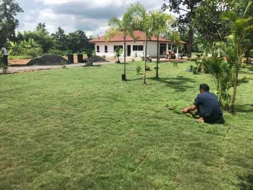 Suwan organic farmstay Suwan organic farmstay