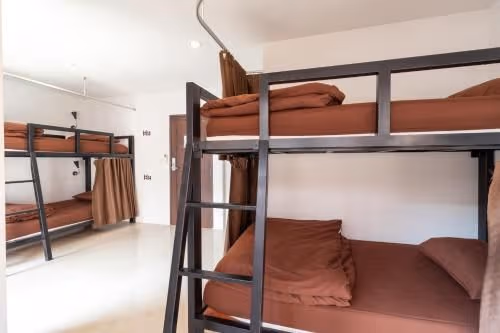 Bed in 4-Bed Mixed Dormitory Room