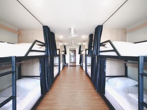 Bunk Bed in Mixed Dormitory Room