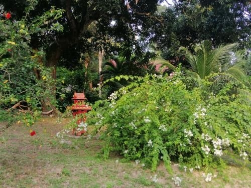 Chanin Villa3