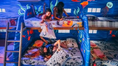 Bunk Bed in Mixed Dormitory Room
