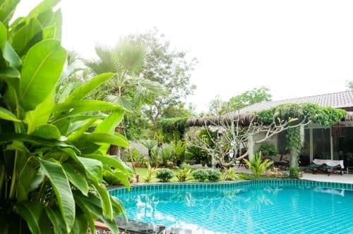 Blue Bird Guesthouse Blue Bird Guesthouse
