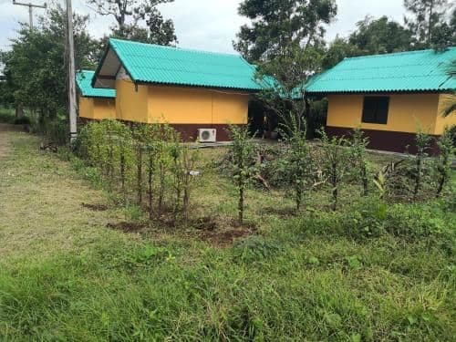 Double Room with Terrace