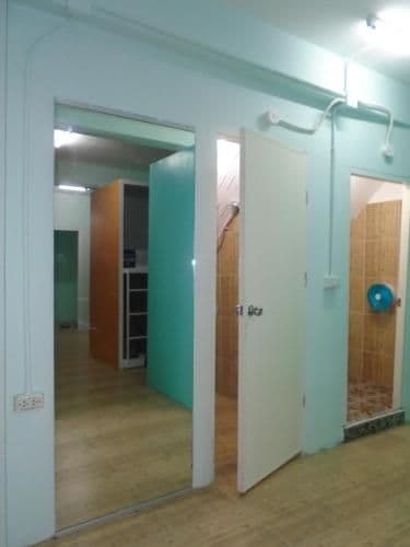 Bunk Bed in Mixed Dormitory Room