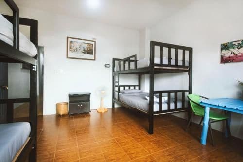 4-Bed Mixed Dormitory Room