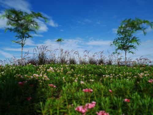 ธีรดา รีสอร์ท ธีรดา รีสอร์ท