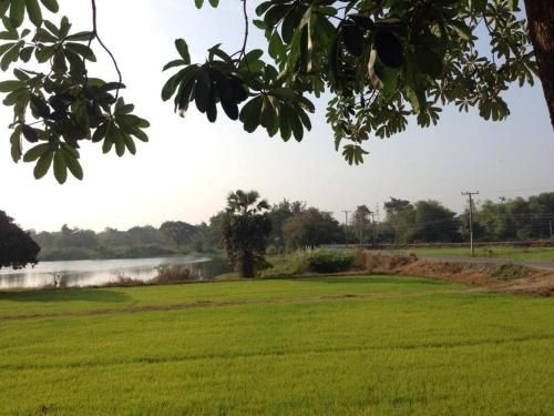 โรงแรมสวีท อินน์ รีสอร์ท (Sweet Inn Resort Hotel)3