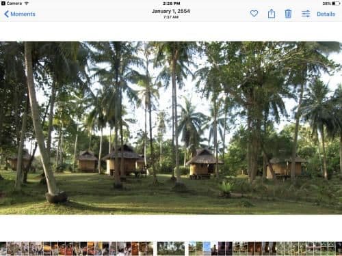 Bamboo Hut