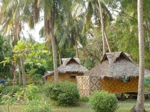 Bamboo Hut