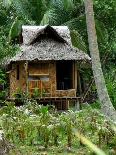 Bamboo Hut