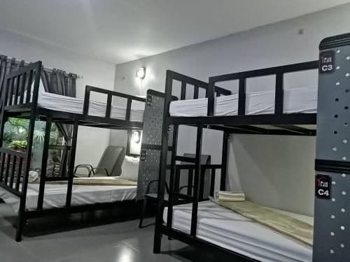 Bunk Bed in Mixed Dormitory Room