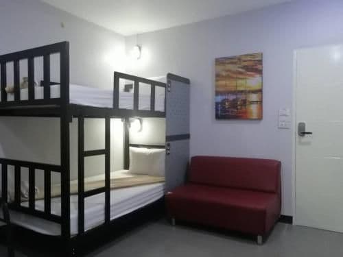 Bunk Bed in Mixed Dormitory Room