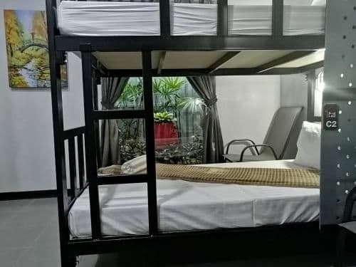 Bunk Bed in Mixed Dormitory Room