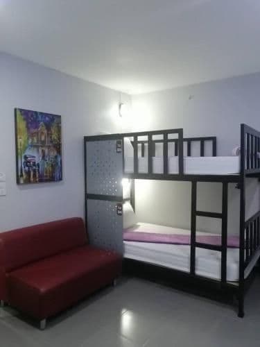 Bunk Bed in Female Dormitory Room
