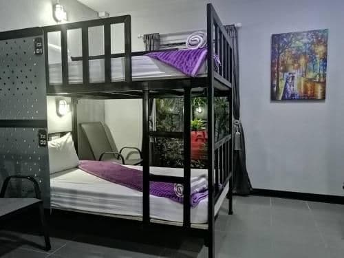 Bunk Bed in Female Dormitory Room