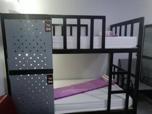 Bunk Bed in Female Dormitory Room