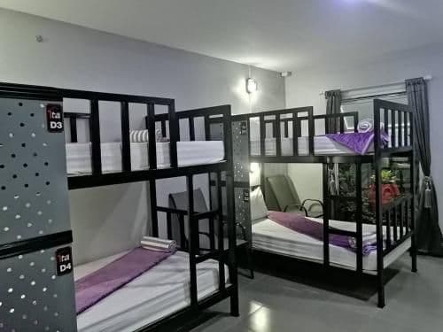 Bunk Bed in Female Dormitory Room