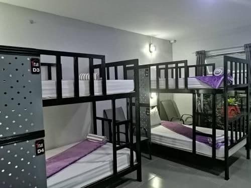 Bunk Bed in Female Dormitory Room