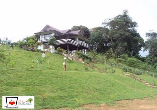 Holiday Home